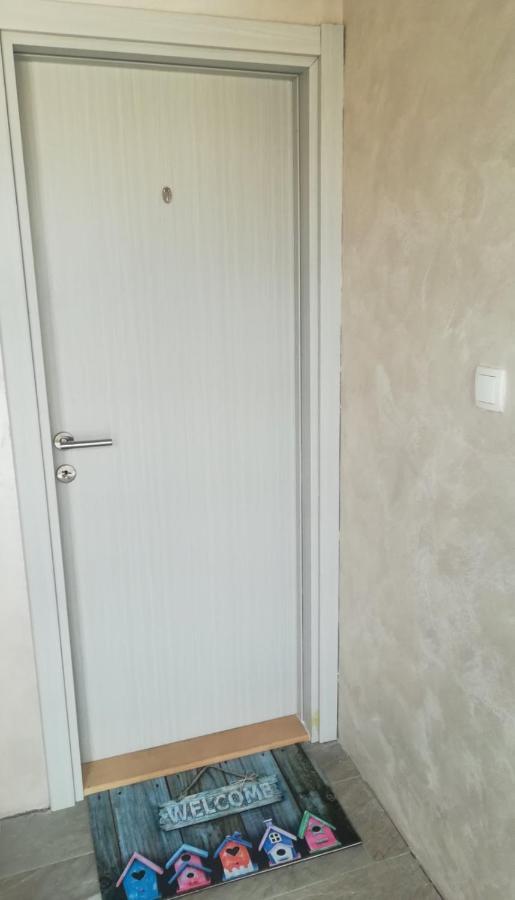 ZEN Apartmani Novi Sad Exterior foto